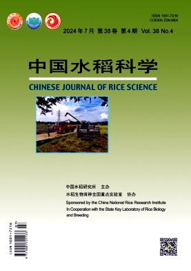 中国水稻科学封面